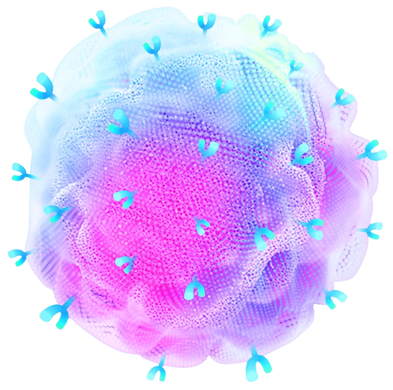 Microscopic cell illustration with surface receptors.